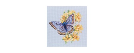 Embroidery kits with butterflies