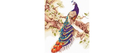 Embroidery kits Birds